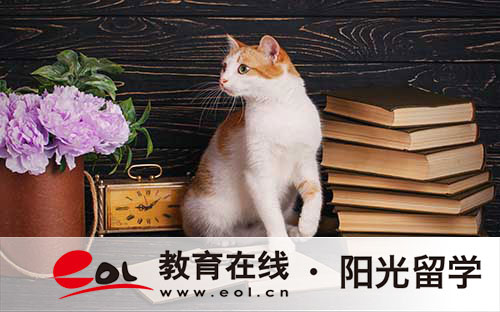 中外合作辦學(xué)留學(xué)金融專業(yè)學(xué)費(fèi)是多少