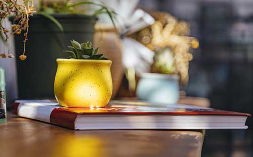 留學(xué)期間學(xué)俄語難嗎，俄語等級考試有什么學(xué)習(xí)技巧嗎
