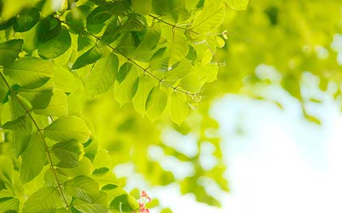 jlpt考試人多嗎，每次考試報(bào)考人數(shù)是多少