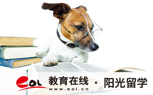高中畢業(yè)申請美國留學申請條件及途徑介紹